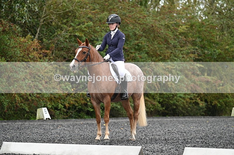 WJ7_3330 - Time 09:54 to 10:54