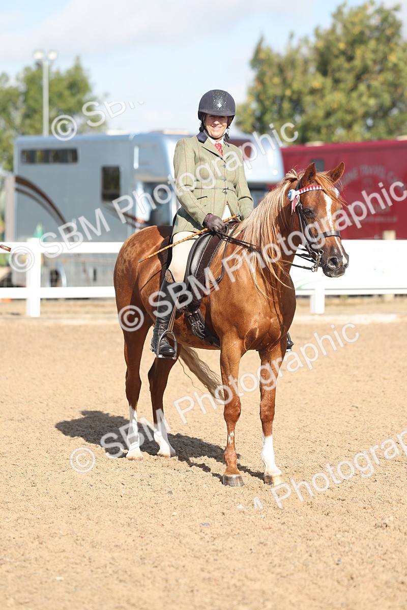 SBM_22319 - Class 803 - Ridden Combination 65+