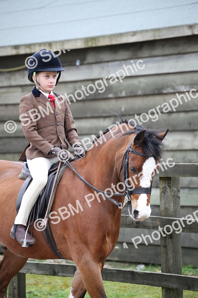 SBM_005883 - Class 10-13 - RIHS Small Large Breeds