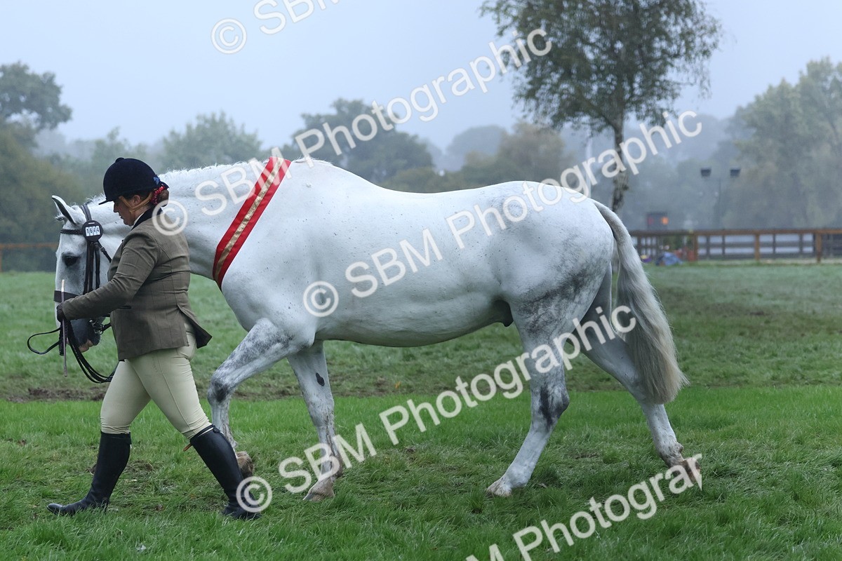 SBM_73241 - Super Supreme Championship(Sun)