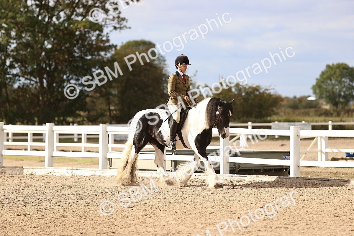 SBM_18155 - Class 423 - Equitation (best rider) Adult
