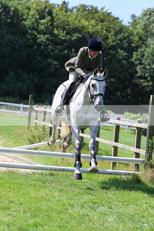 3E7A8589 - Class 5: Working Show Horse