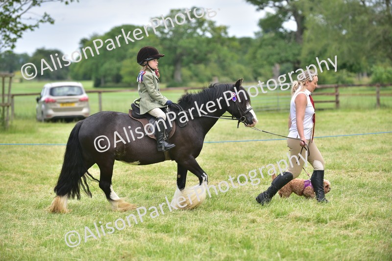 20260614-4527 - Class 19 - Cutest Pony, Rider and Dog Combination