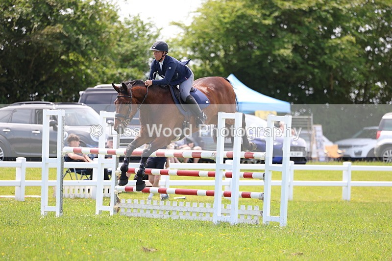 3E7A1388 - Class 12: Senior Foxhunter/1.20 open