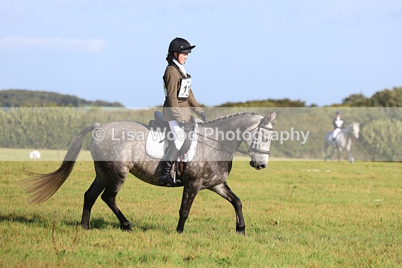 3E7A5762 - Class 1: Trebudannon Open: Dressage (Part 2)
