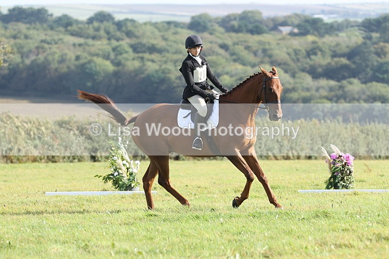 JPP_8042 - Class 2A: Trekenning Open: Dressage