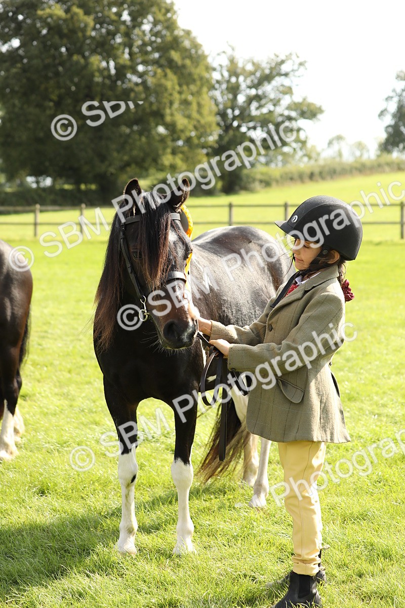 SBM_67874 - S39 - Junior Handler 8  Years & Under