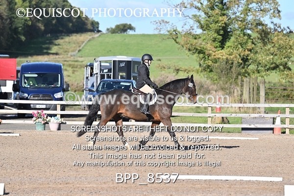 BPP_8537 - SHORT ARENA