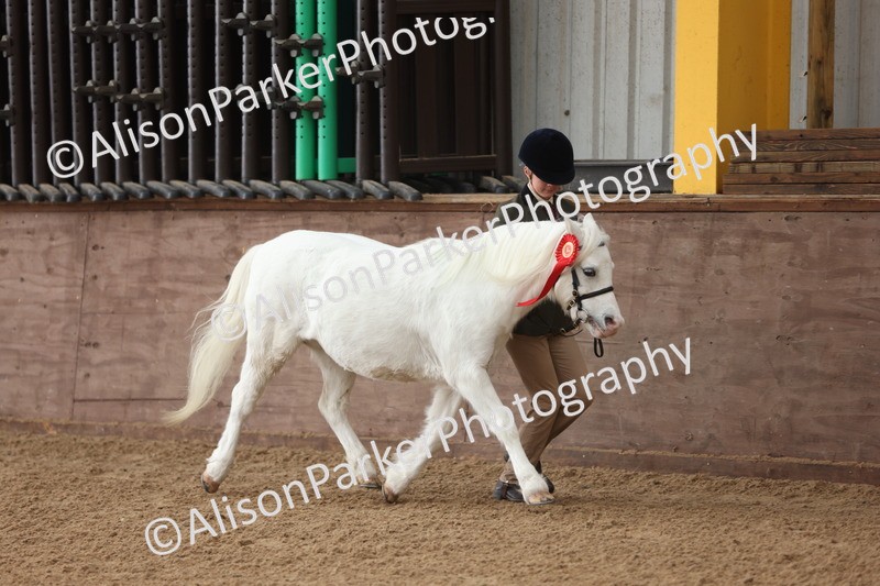 20251109-0561 - Class 21 - Mares 4 Years and over