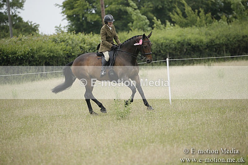 B230619-0814 - Bourne Valley Riding Club Summer Show 23/06/19