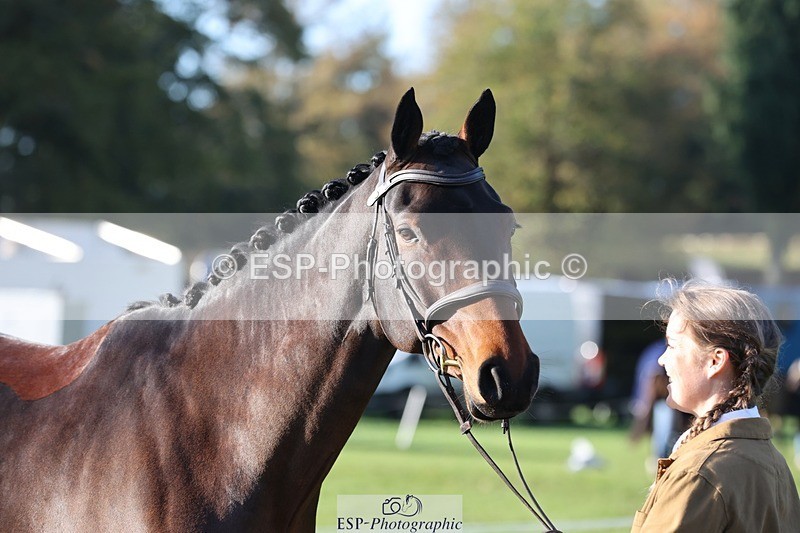 241027-092709-15306 - 457-Ella.Richardson-ASB.ABHAINN.GLEN