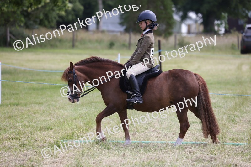 20260614-2102 - Class 21 - Novice Working Hunter Pony
