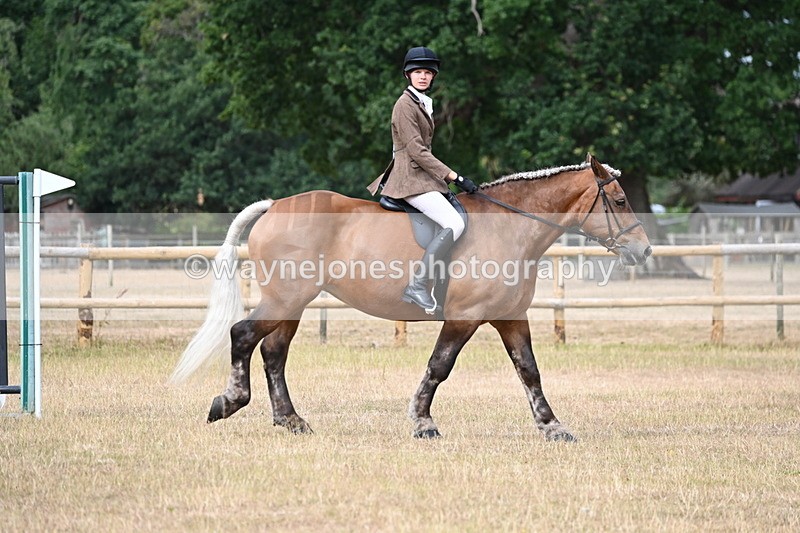 WJ6_7508 - Class 9 Tack and Turnout