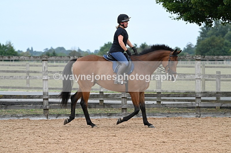 WJ7_8256 - Poles 11:00am