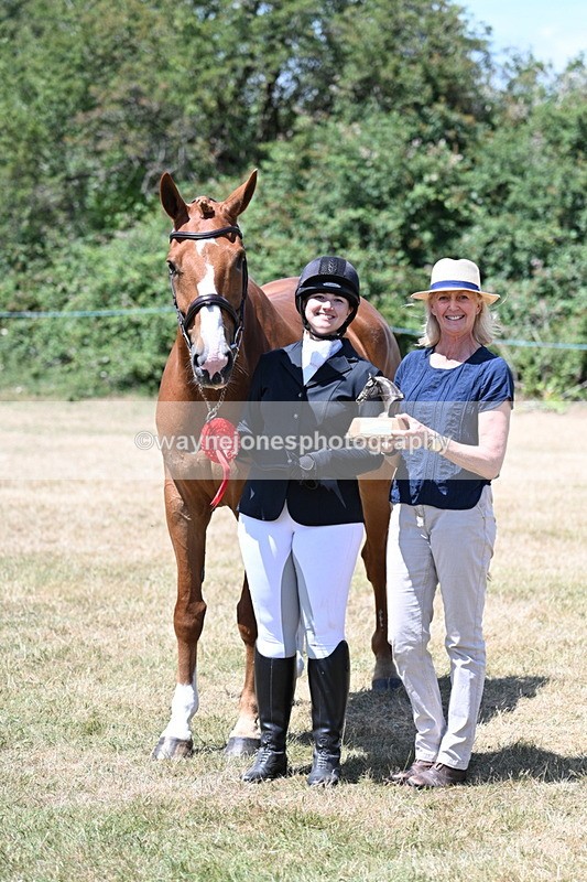 WJ7_2509 - Most Handsome Gelding Champs