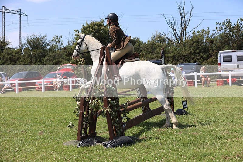 JPP_2685 - Class 21: Working Hunter 60cm