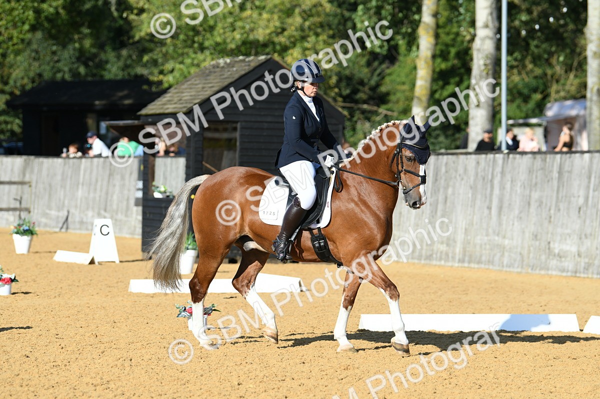 SBM_27299 - D16 - Small Tour Championship - Novice 28