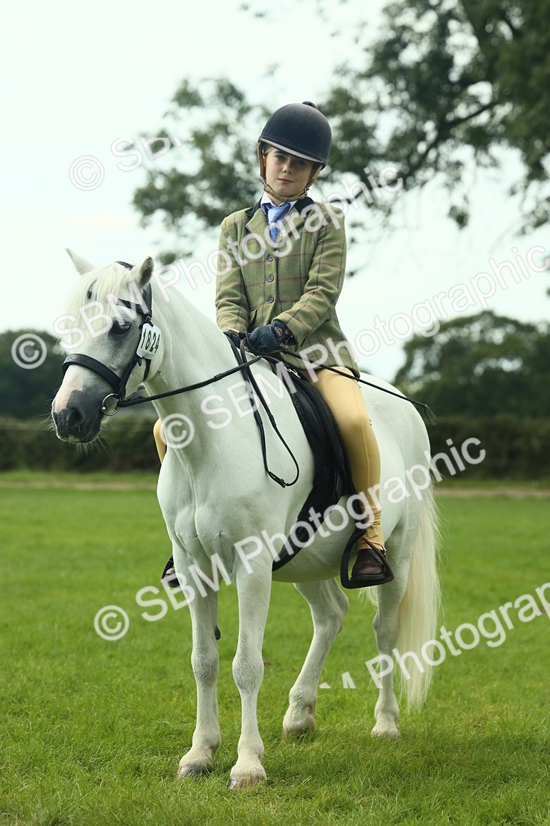 SBM_66463 - S34 - Rehabilitated Rescue Horse & Pony In Hand & Ridden