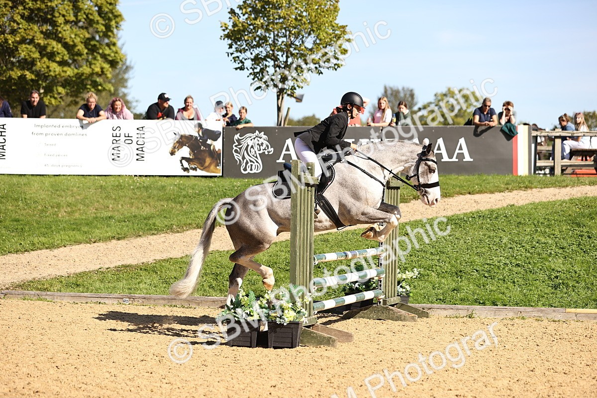 SBM_38350 - J39 - Senior 85cm Championship