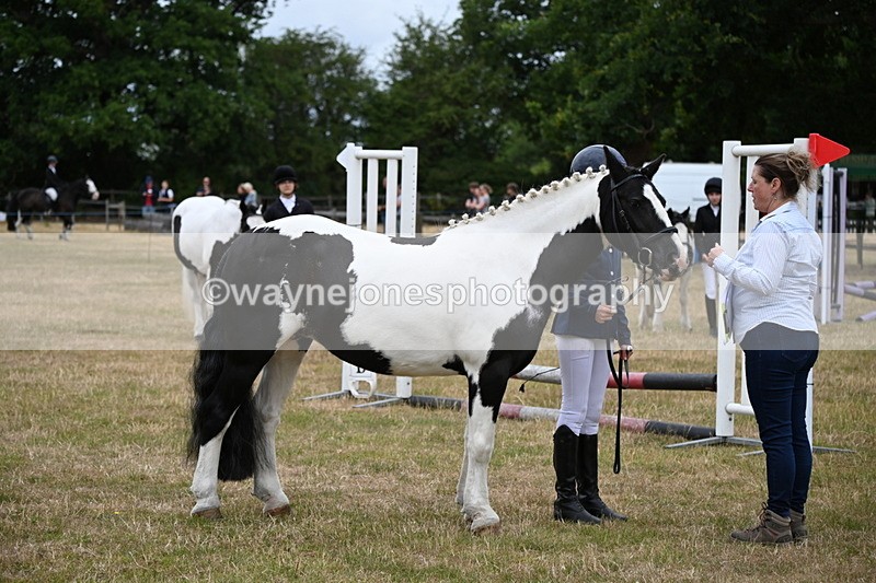 WJ6_4380 - Class 10 Coloured In-hand