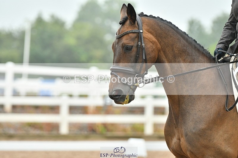 230708A-143952-02957 - Elementary 43