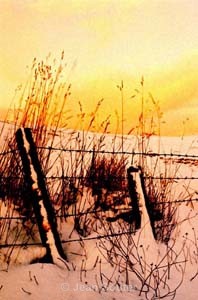 C38 - Colour Images