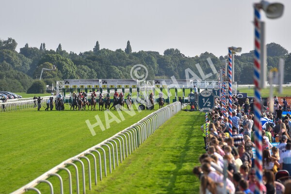 yr05092021r5-35 - Race 5 4.20pm Little Green Rascals Children's Nurseries Stakes