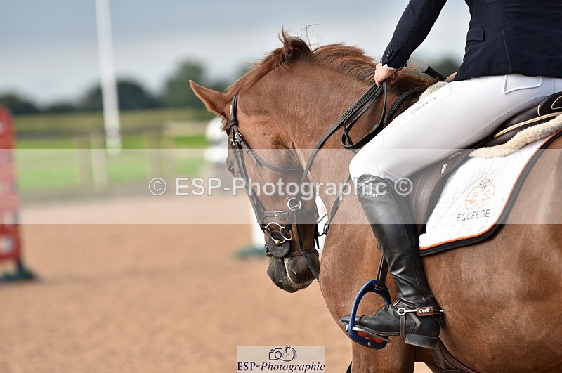 230810A-091614-00048 - Cls 8 British Novice & 90cm Open