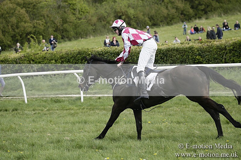 PtP 170417 380 - Old Berks Point-to-Point Lockinge 17/04/17