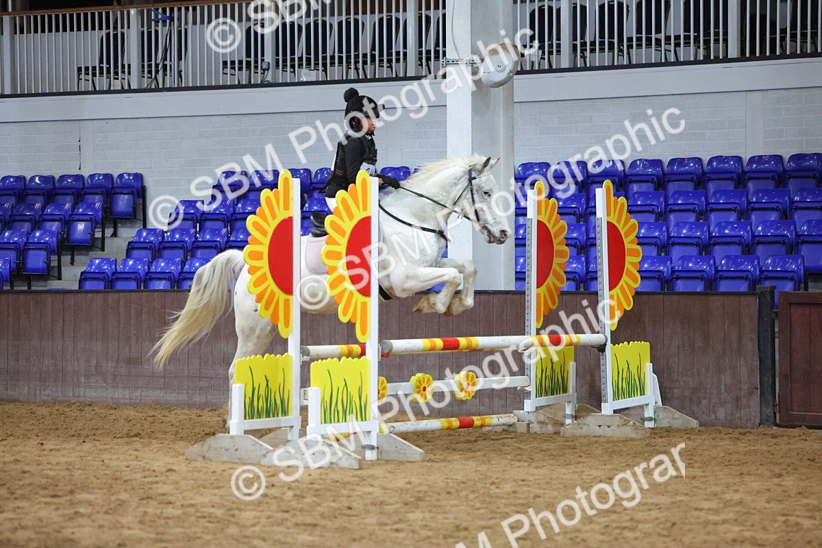 SBM_002112 - Class 5 - Show Jumping 80cm
