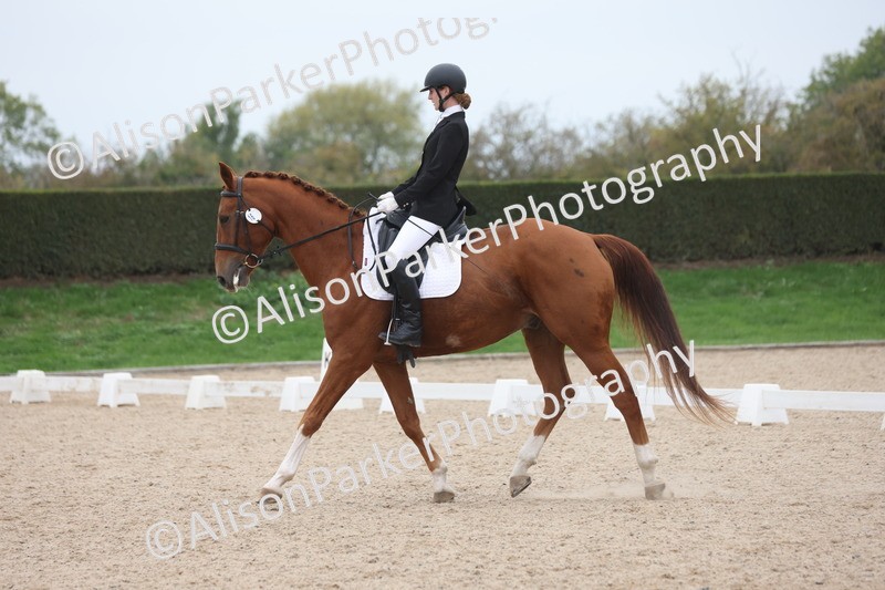 20251011-0566 - Class 4 - Novice 2