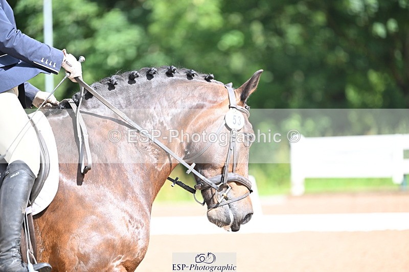 240706A-104130-00880 - Cls 2B Snr Prelim 13