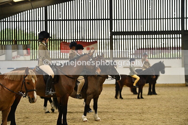 WJ5_8534 - Class 14 Novice Ridden/Rider