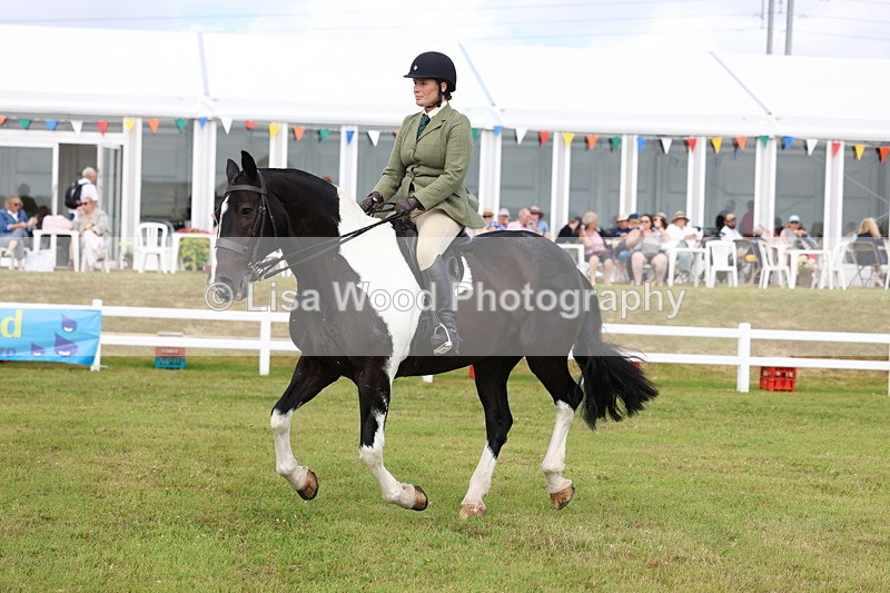 3E7A0333 - Class 6: Rising Star Maxi Cobs