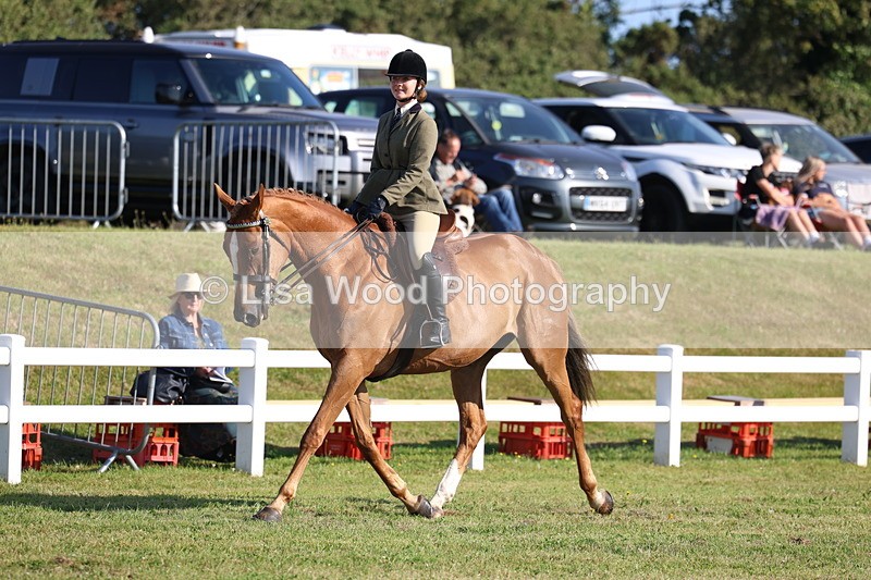 3E7A5379 - Class 2: Rising Star Large Hack/Riding Horse