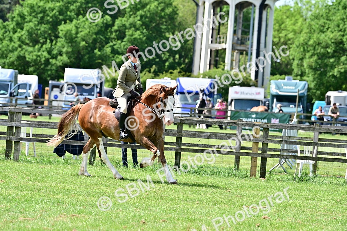 SBM_03839