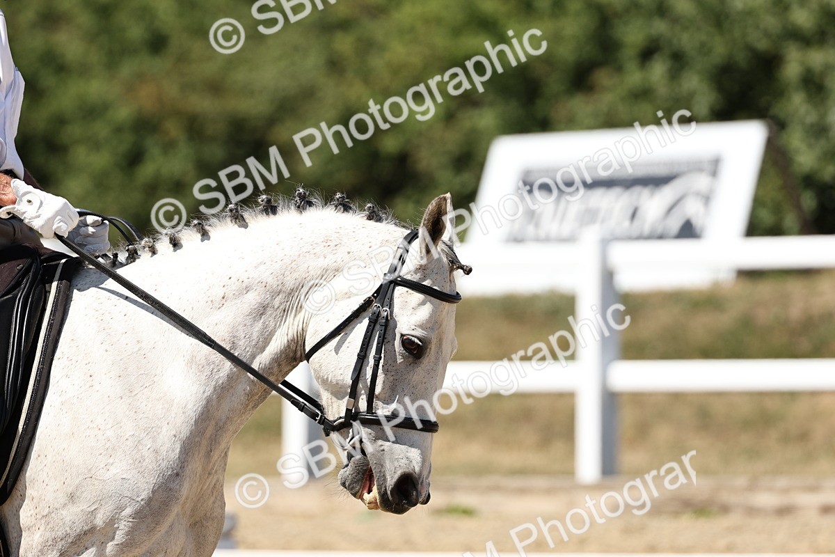 SBM_002706 - Prelim 4 - 13.41-16.04