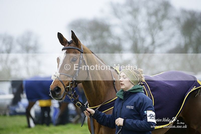 PtP 200222 636 - Countryside Alliance PtP Badbury Rings 20/02/22