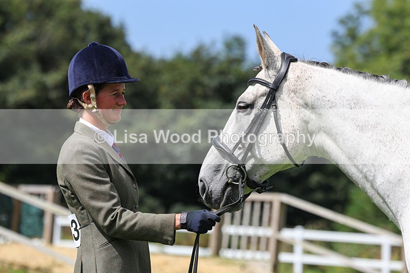 3E7A8797 - Class 5: Working Show Horse