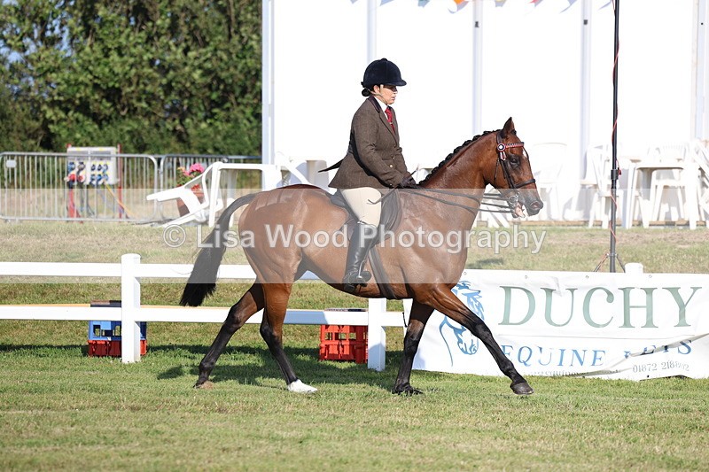 3E7A4944 - Class 1: Rising Star Small Hack/Riding Horses