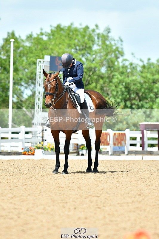 230702A-135057-10107 - Cls 31 Medium 69