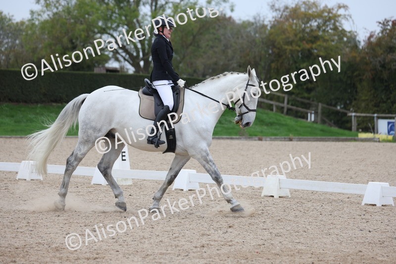 20251011-0437 - Class 4 - Novice 2