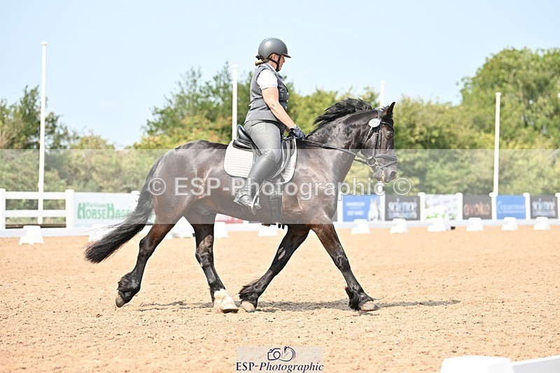 250816-132908-04706 - 115-Alison.AndrewsBercoed.Sambo