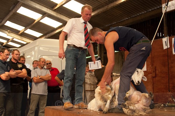 28 - Shearing Competition