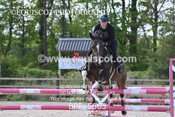 BPP_5563 - CLASS 6 Newcomers/ 1.10m Open