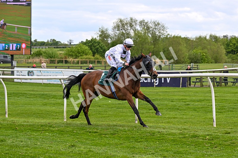 110526-Race 3-Laravie-0692 - Race 3 3.30pm Mick Rose Turns 70 Handicap