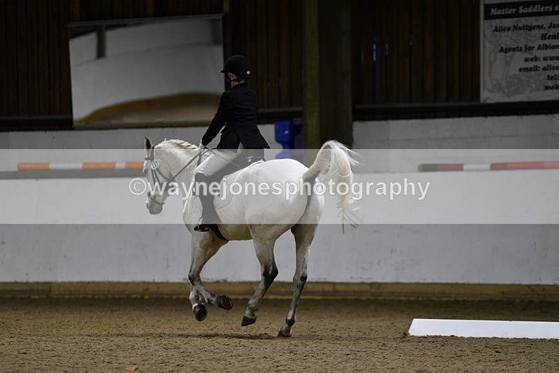 WJ5_8798 - Class 5 Novice Test 3