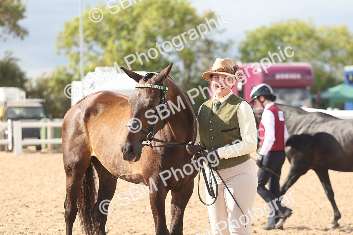 SBM_06881 - Class 25 - IH Foreign Breeds - Purebred