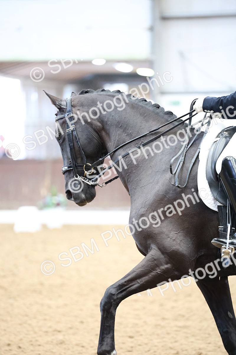 SBM_004776 - Class 9 - FEI Inter 1 Gold - 16.59-17.47