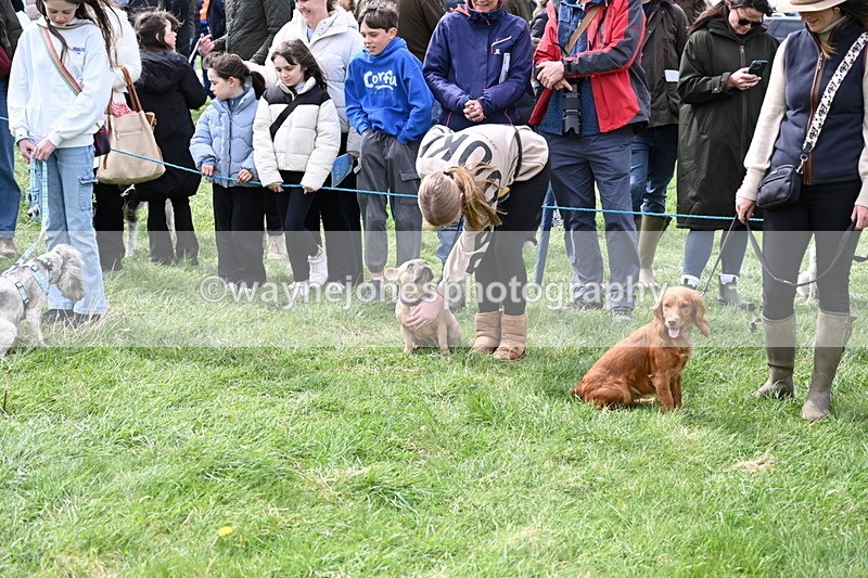 WJ6_8204 - Class 4 Prettiest Bitch